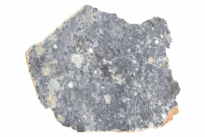 Lunar Meteorite ( g) Slice - Bechar #381613